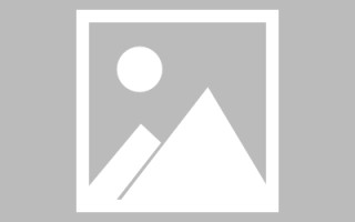 哈尔滨自助网站建设怎么建设的（自助网站建设平台）